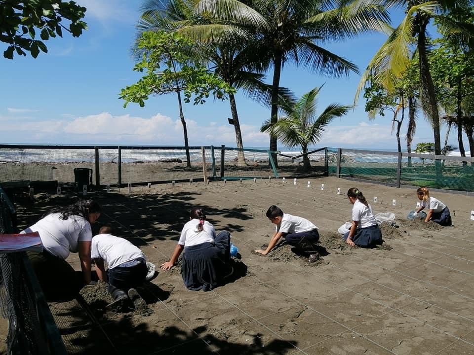 Enfant-dans-nurserie-tortues-de-mer-Costa-Rica
