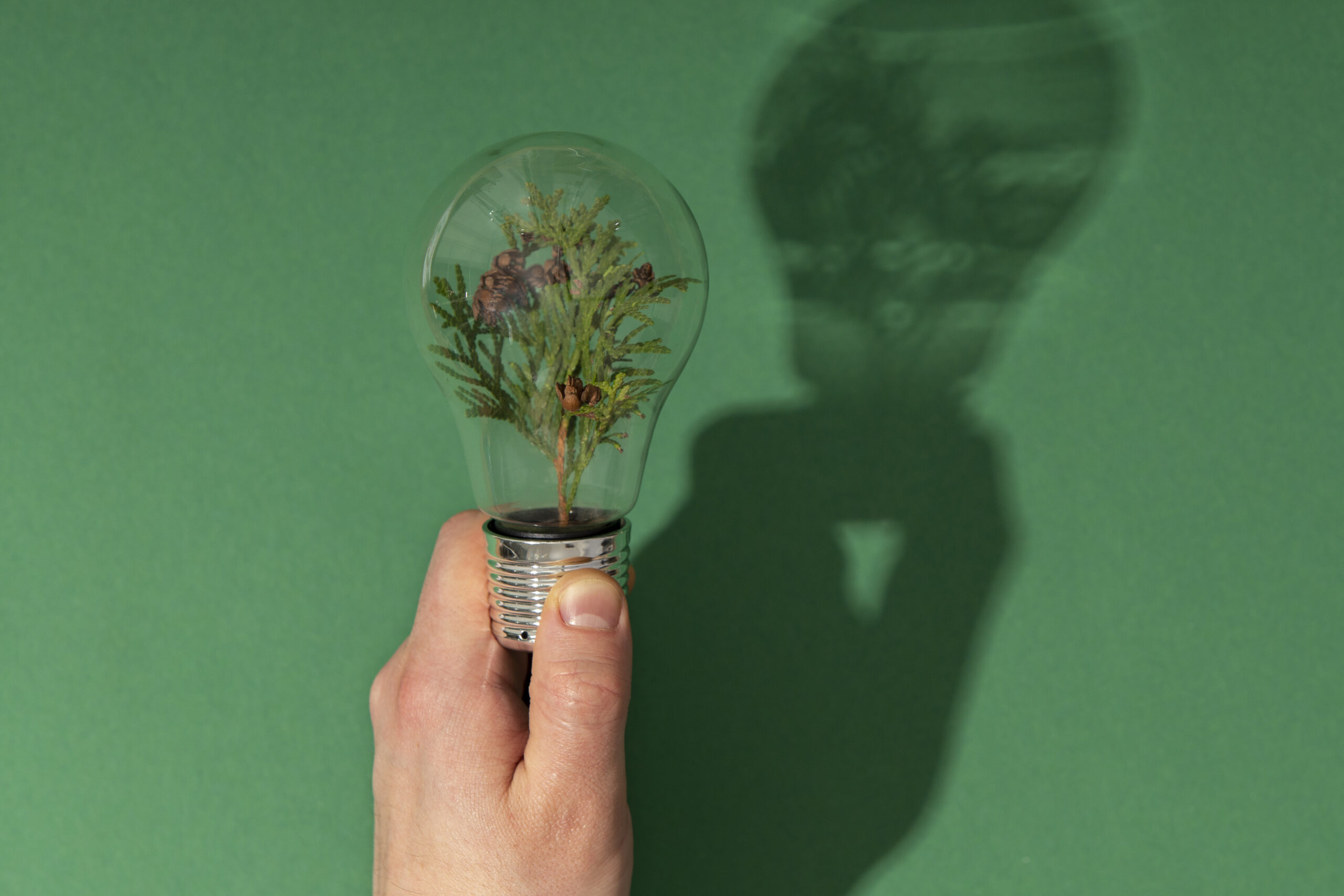 Main-qui-tient-une-ampoule-contenant-un-arbre